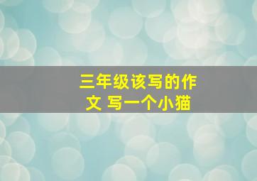 三年级该写的作文 写一个小猫